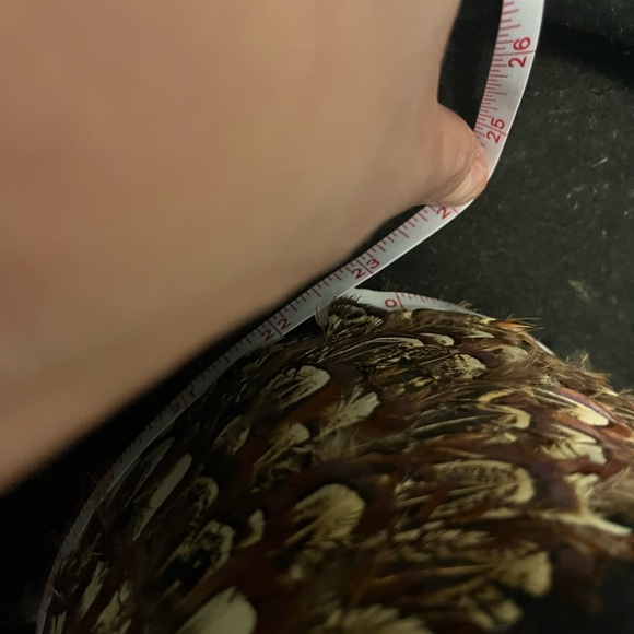 Eric Javits Hat with Feather Detail - Picture 7 of 7